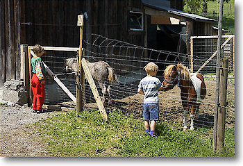 Urlaub mit Kindern und Tieren im Bayerischen Wald